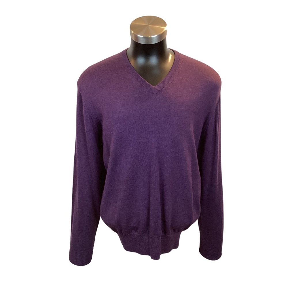 Alan Paine Pure Merino Wool V-Neck Sweater